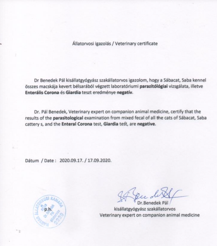 Certificat vétérinaire du chenil SabaCat