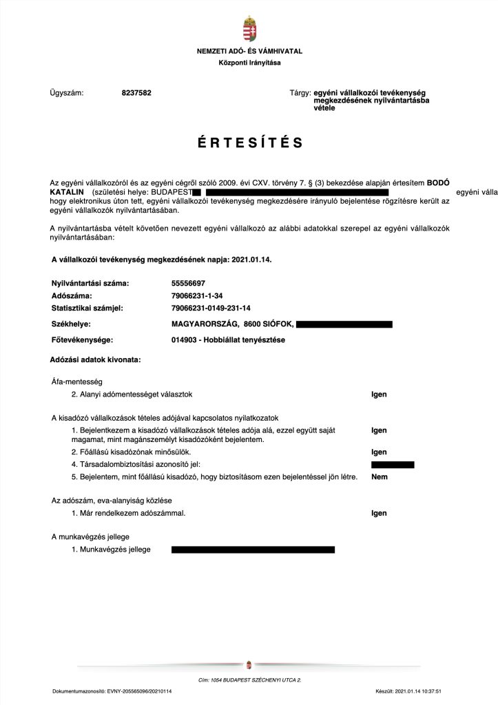 Certificat d'enregistrement d'entreprise individuelle – document officiel