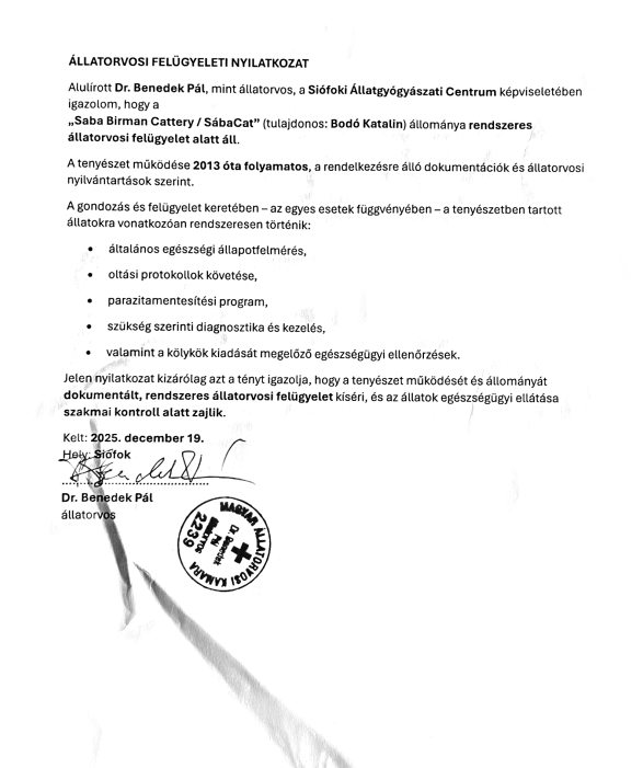 Déclaration de surveillance vétérinaire – Élevage de Birmans Saba