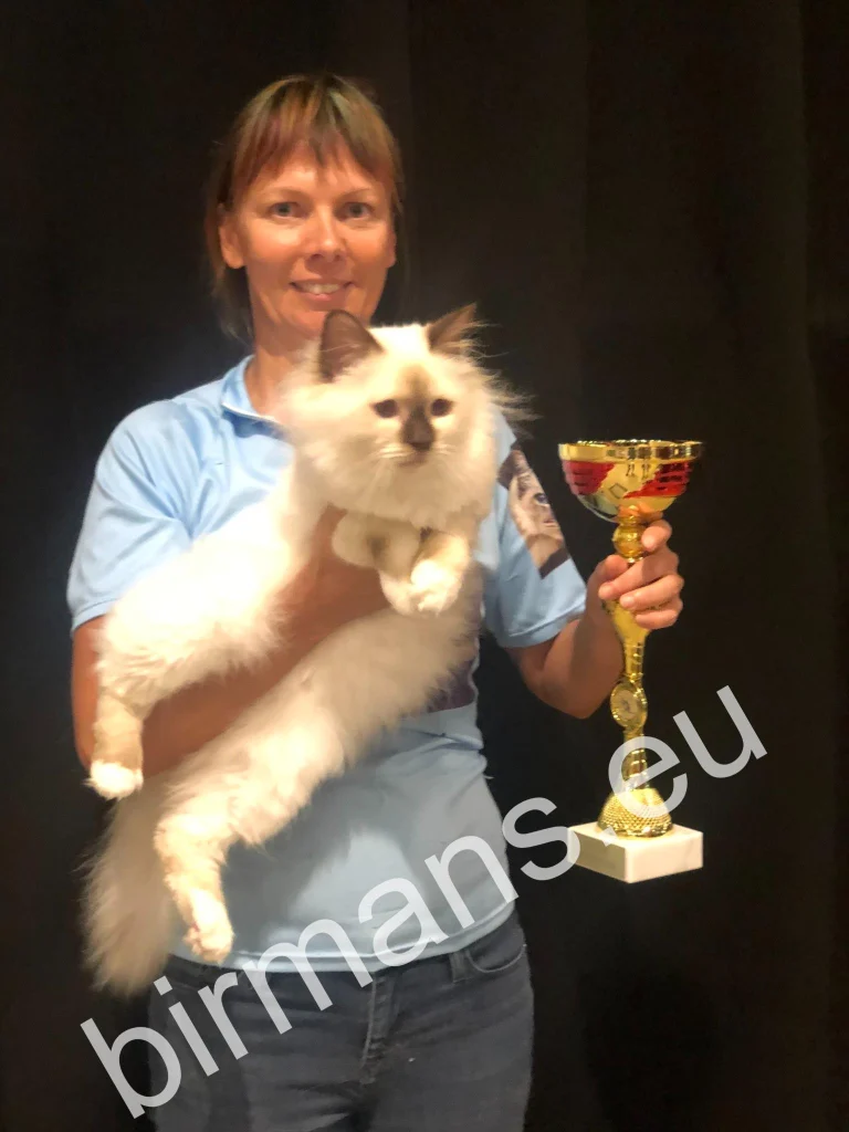 ECH Beethoven Johnnatarie E of Saba, Birman Champion d'Europe, coupe en main