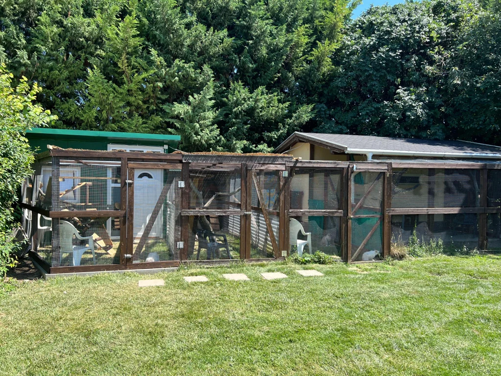 Grand enclos d'été avec la maison en panneaux sandwich verts sur le côté gauche
