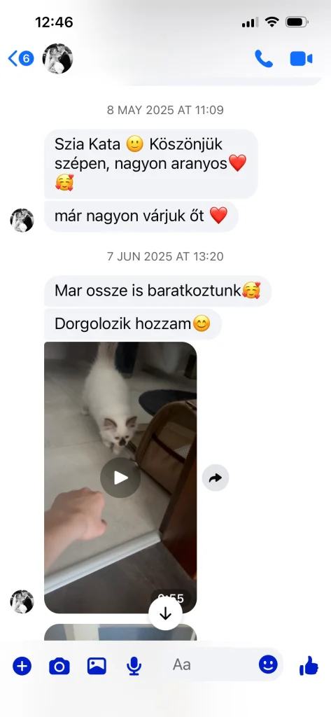 Retour écrit du propriétaire de Saba Gigi en provenance de Hongrie – avis et expérience réels d'un client