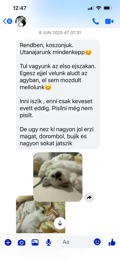 Retour écrit du propriétaire de Saba Gigi avec photographies – expérience réelle d'un client en Hongrie