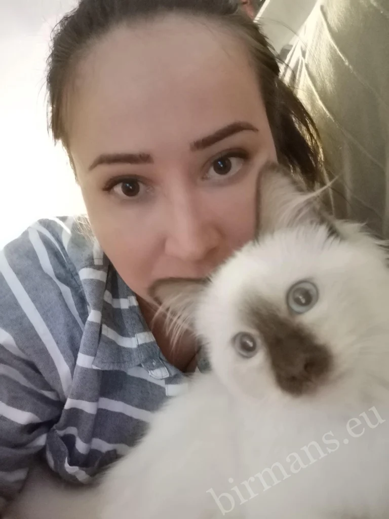 Chat Birman Saba Hamlet avec son propriétaire en portrait en Suisse – véritable retour client