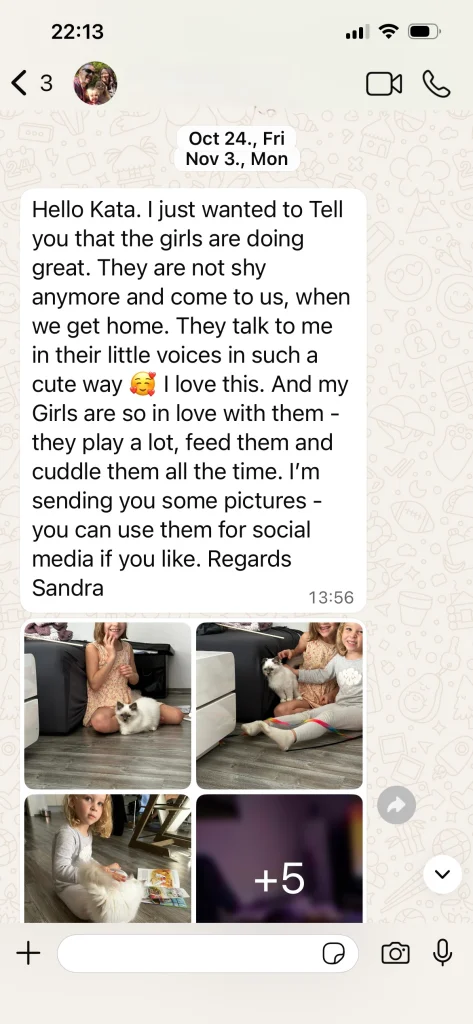 Retour du propriétaire de Saba Nova et Saba Noelle avec photos d'Autriche – véritable expérience client