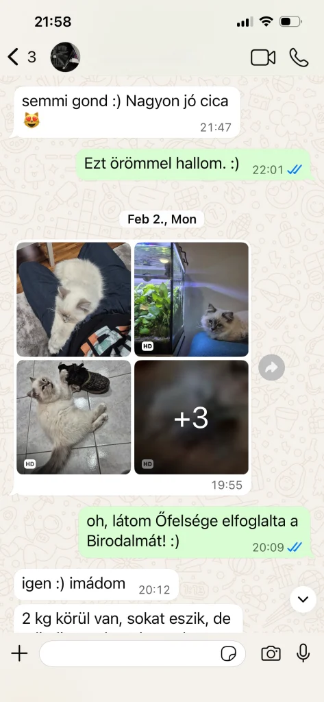 Retour du propriétaire de Saba Serenity avec images et citation en provenance d'Autriche – expérience réelle d'un client