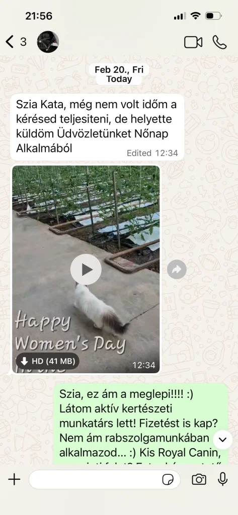 Retour du propriétaire de Saba Serenity avec vidéo et images en provenance d'Autriche – expérience réelle d'un client