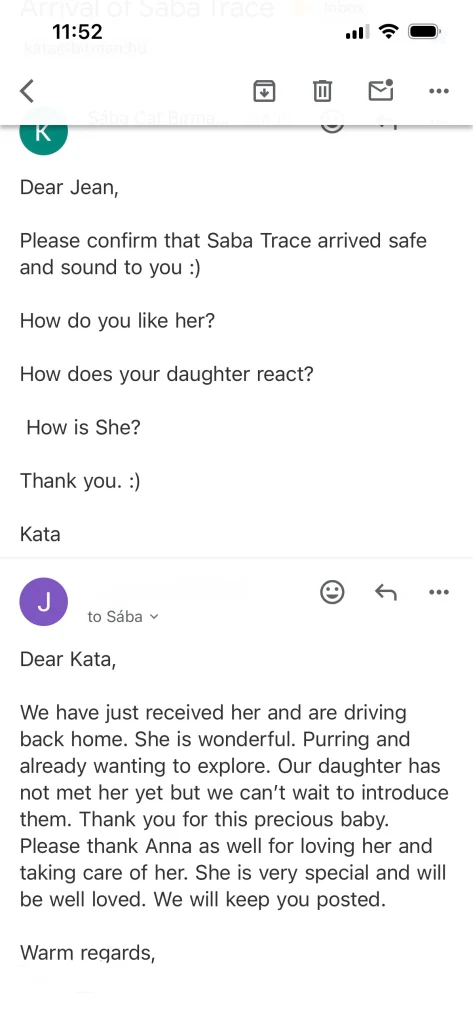 Retour écrit du propriétaire de Saba Tracie en provenance des États-Unis – avis et expérience réels d'un client