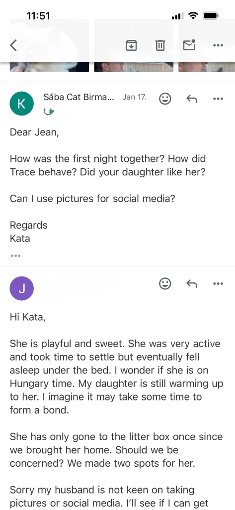 Retour du propriétaire de Saba Tracie avec citation en provenance des États-Unis – expérience réelle d'un client