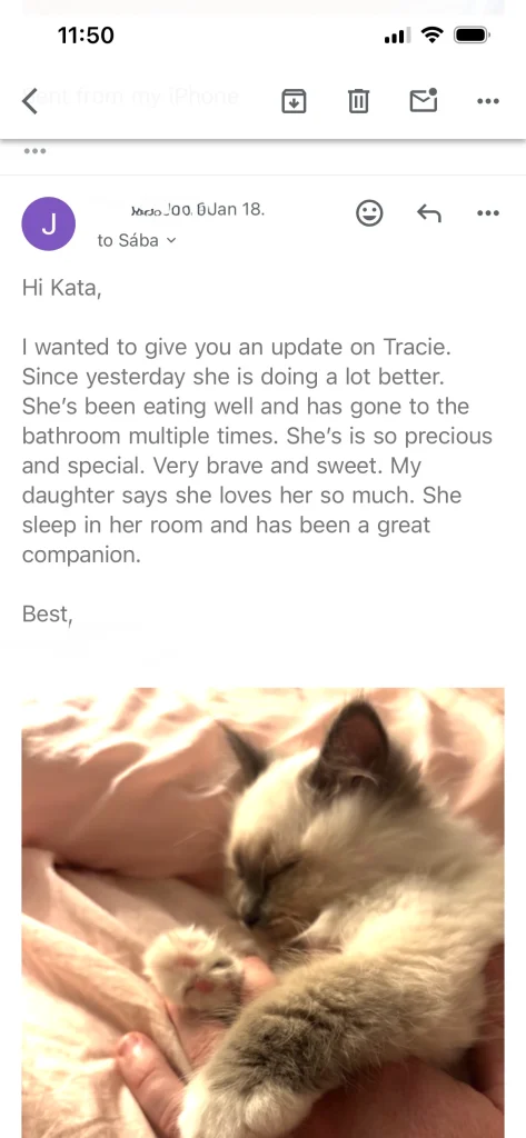 Retour du propriétaire de Saba Tracie avec image en provenance des États-Unis – expérience réelle d'un client