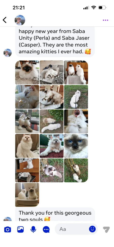 Témoignage du propriétaire de Saba Unity (Perla) et Saba Jasper (Gasper) avec texte et plusieurs images depuis la Slovénie – expérience client authentique