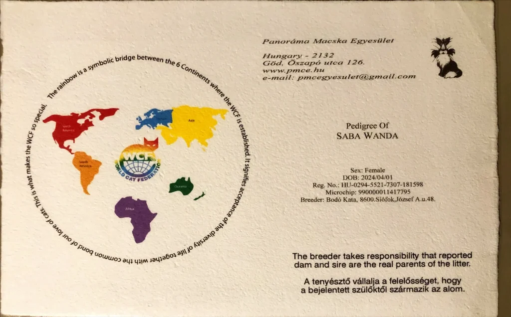Pedigree WCF d'ICH Saba Wanda – document officiel d'ascendance du chat Birman