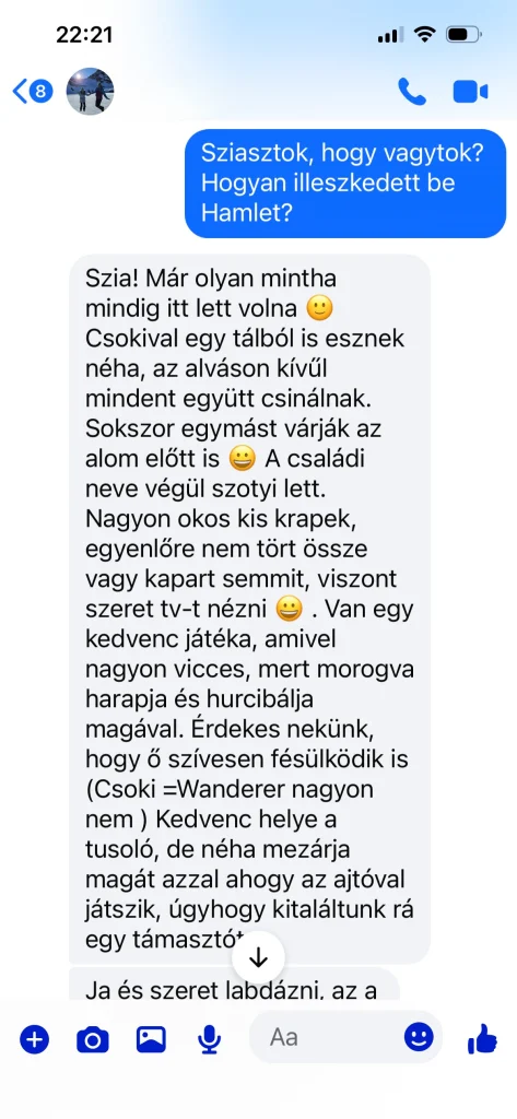 Retour écrit du propriétaire de Saba Wanderer et Saba Hamlet de Suisse – véritable expérience client