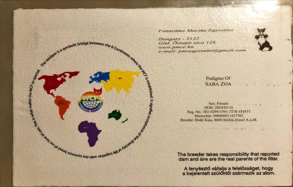 Première page du pedigree WCF d'ICH Saba Zoa – document officiel du chat sacré de Birmanie