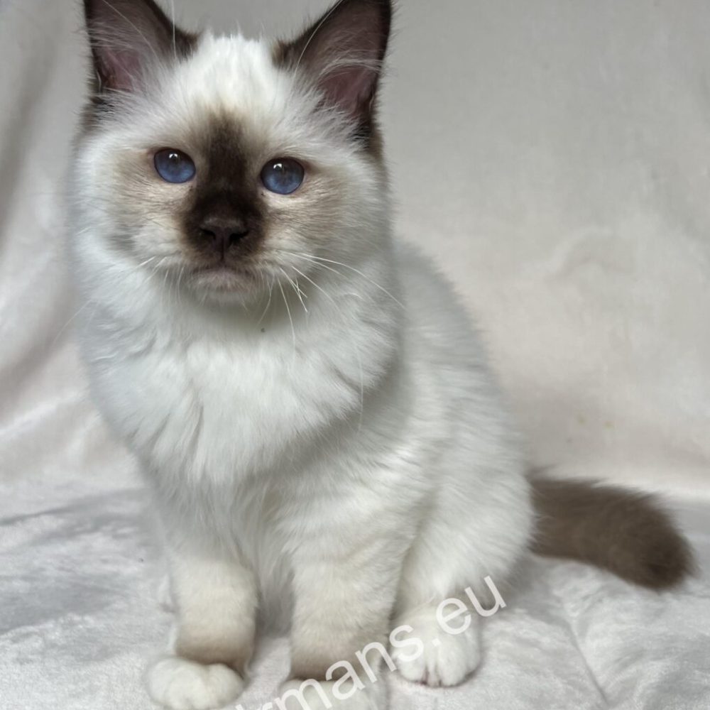 img-4730-desktop-9usfljs